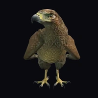 a_c_chickenhawk