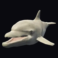 a_c_dolphin