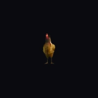 a_c_hen