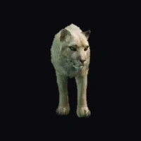 a_c_mtlion