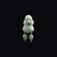 a_c_poodle