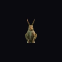 a_c_rabbit_01