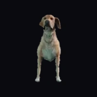 a_c_retriever
