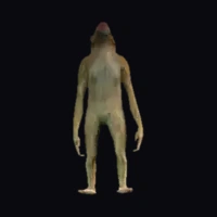 a_c_rhesus