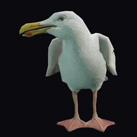 a_c_seagull