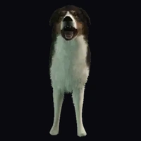 a_c_shepherd