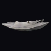 a_c_stingray